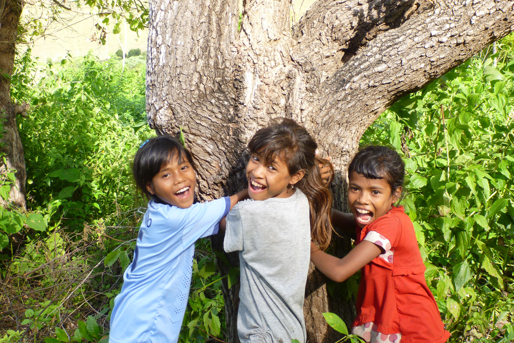 Buy Eureka blueberries and help farming families thrive World Vision