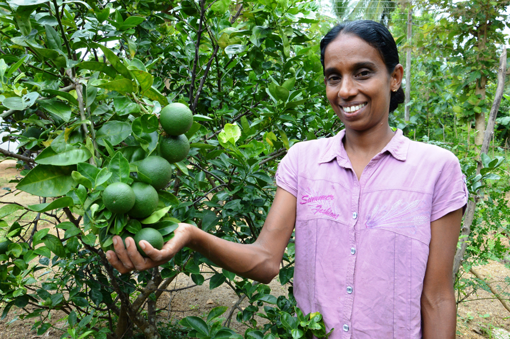 s151062-15-Permaculture Home Garden Project-Sri Lanka1