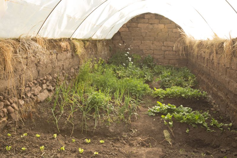 Greenhouses boost nutrition for children in Peru's highlands World