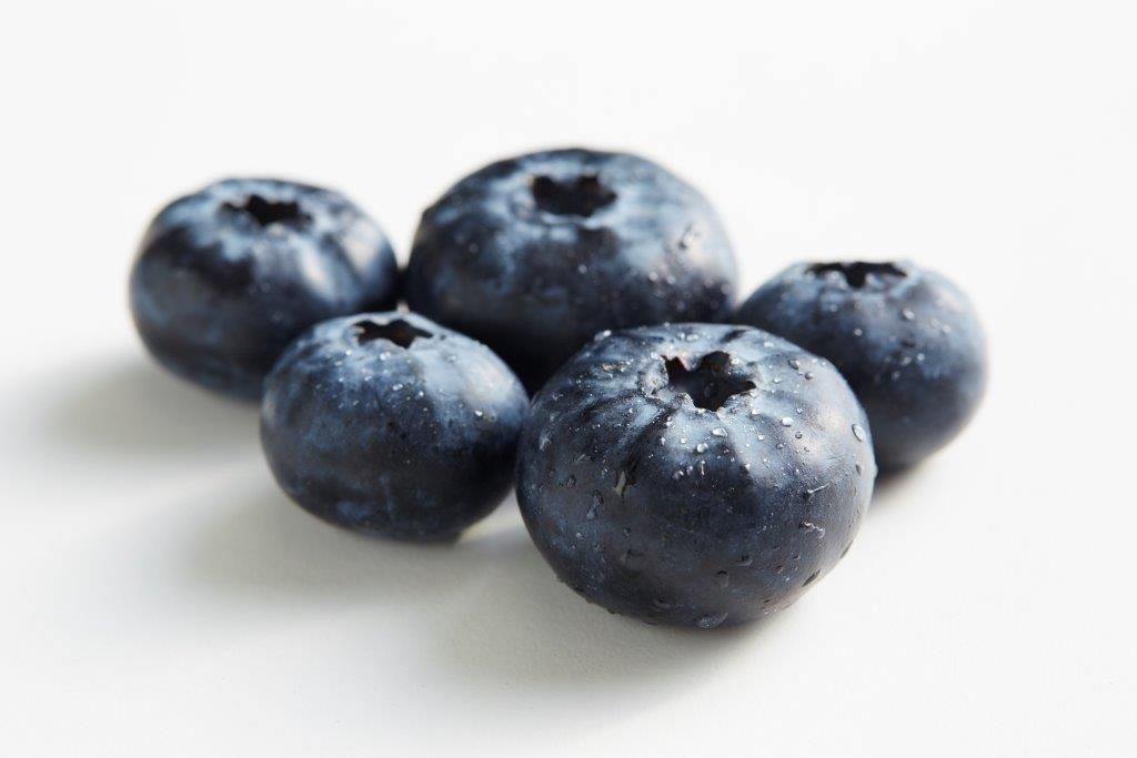 Buy Eureka blueberries and help farming families thrive World Vision