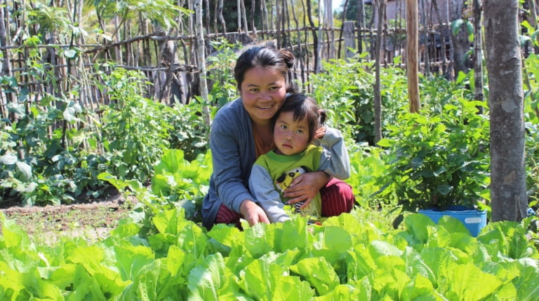 Woman with child in a garden, picking leafy greens