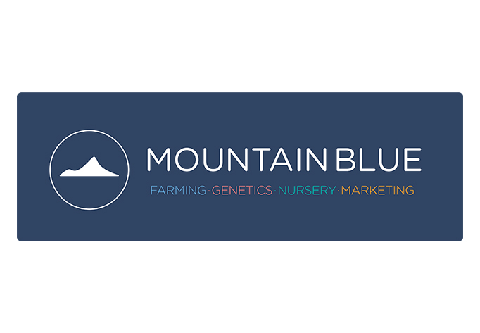 Blue Mountains Partnership