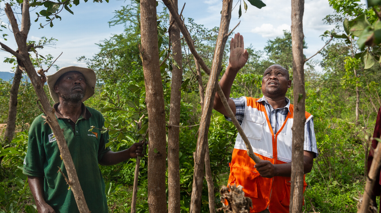 Climate Crisis - Actions for Justice