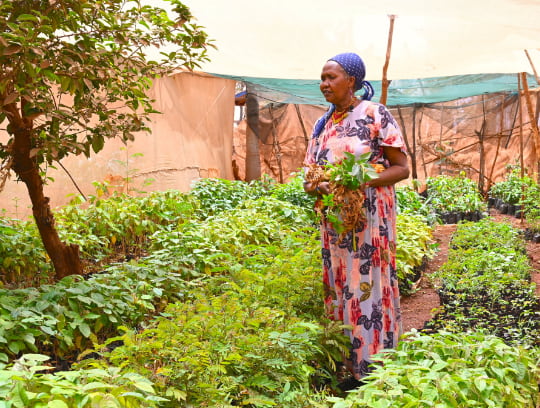 Woman standing in a field of crops