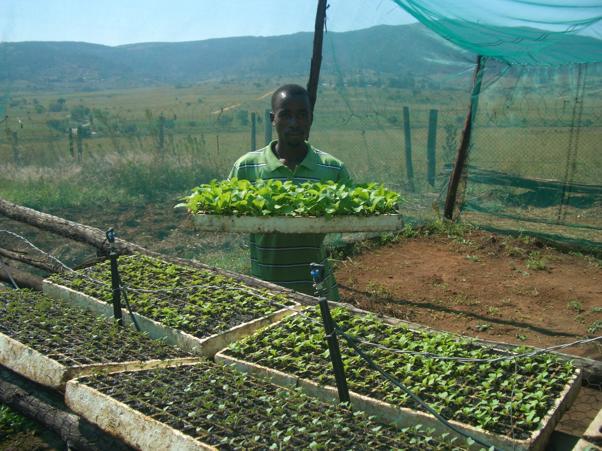 Swaziland A Memorable And Enlightening Child Sponsor Visit World