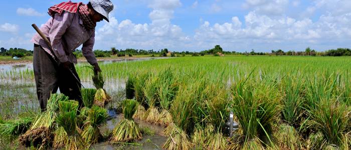 man-agriculture-our-mission-and-values