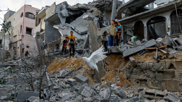 Children standing in rubble, watching a bird fly