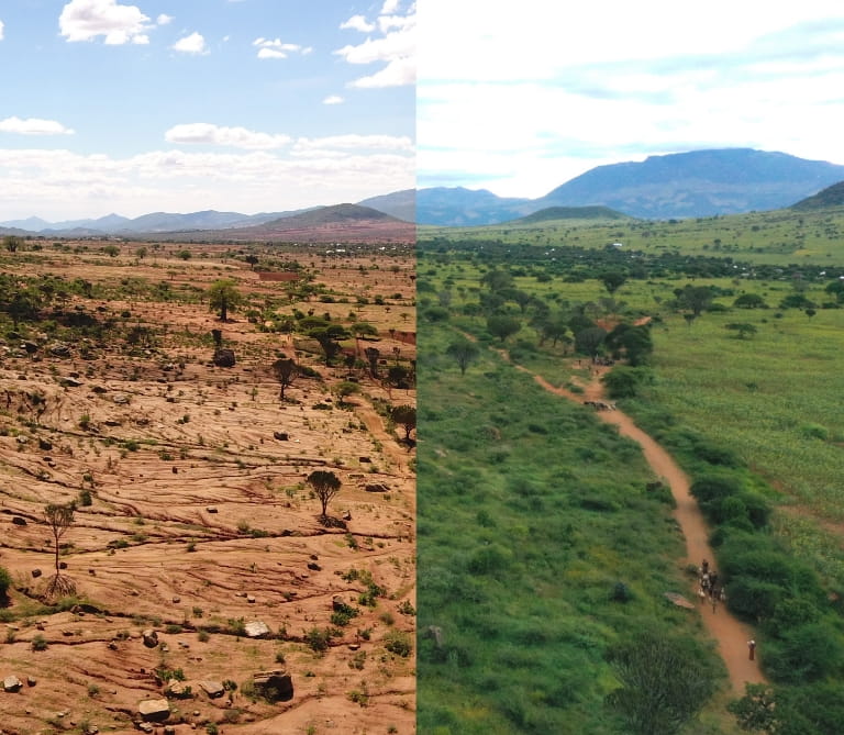 Before and after image of a field in Africa. From dry desert to lush green landscapes