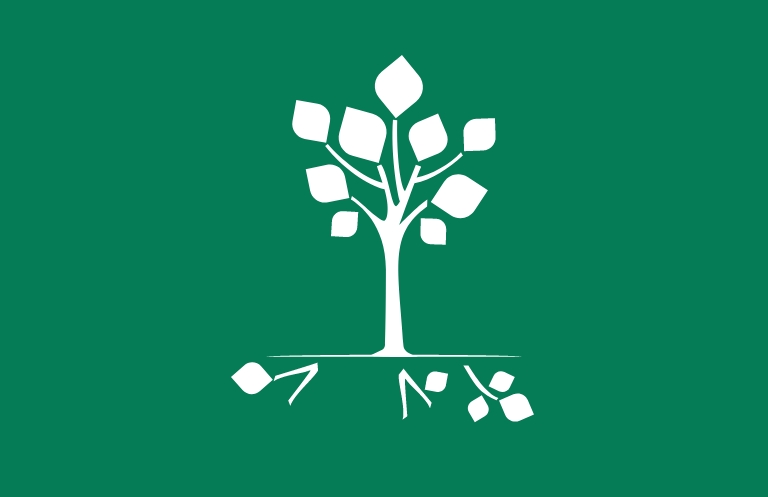 Tree with leaves on the ground