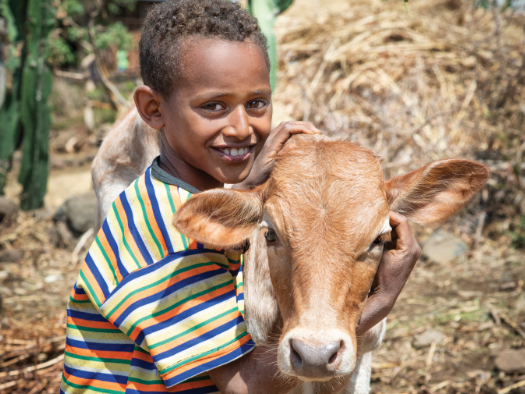 With a family cow, under-nourished children can enjoy fresh, nutritious milk every day.