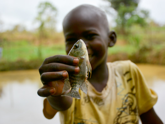 A fish farm