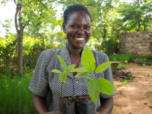 Mazaa, a participant in the Drylands Development Programme, proudly shows off growing
seedlings in her community nursery in Kenya.