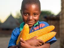 Chansa loves to help and collect maize from his family's farm in Zambia.