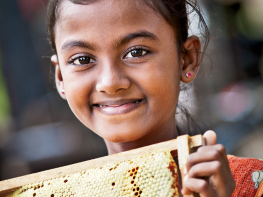 Beekeeping provides families with a new and valuable income source they can use to cover their children’s education costs and pave the way towards a brighter future.