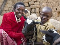 Provided animals by World Vision, Cyprien and his family have broken the cycle of poverty. They now have access to milk to help with nutrition and manure to fertilise crops.