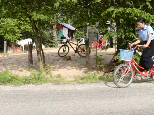 Rumana, a nutrition facilitator in southwest Bangladesh is able to ride house to house educating pregnant mothers on care for themselves and their babies, thanks to her bicycle.