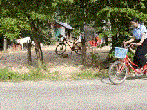 Rumana, a nutrition facilitator in southwest Bangladesh is able to ride house to house educating pregnant mothers on care for themselves and their babies, thanks to her bicycle.