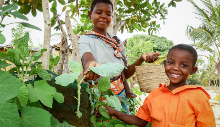 Tackling climate change with sustainable farming programs