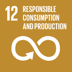 responsible-consumption-production