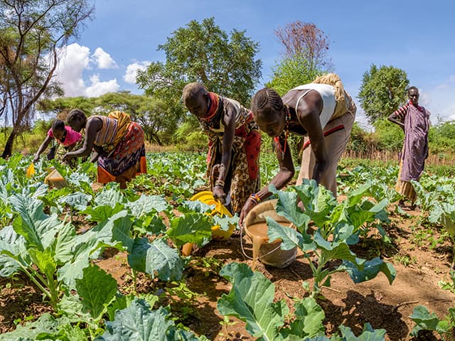 World Vision India designed activity book