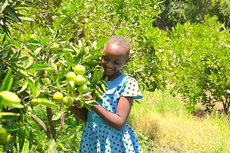 Girl holding a branch of a lime tree.