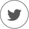 Share the video on Twitter